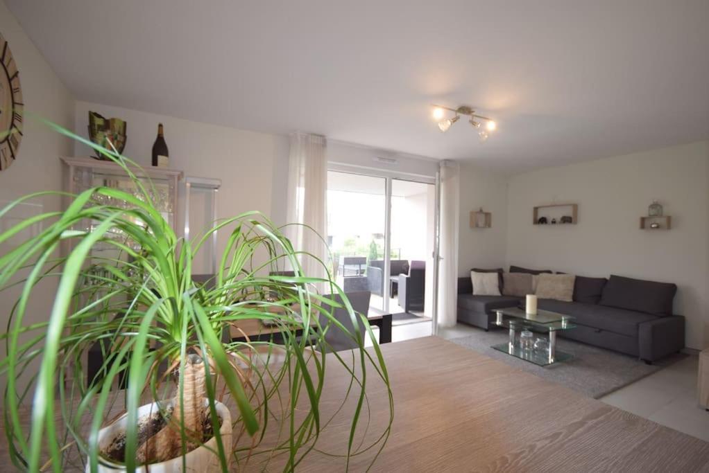 Appartement Селеста Экстерьер фото